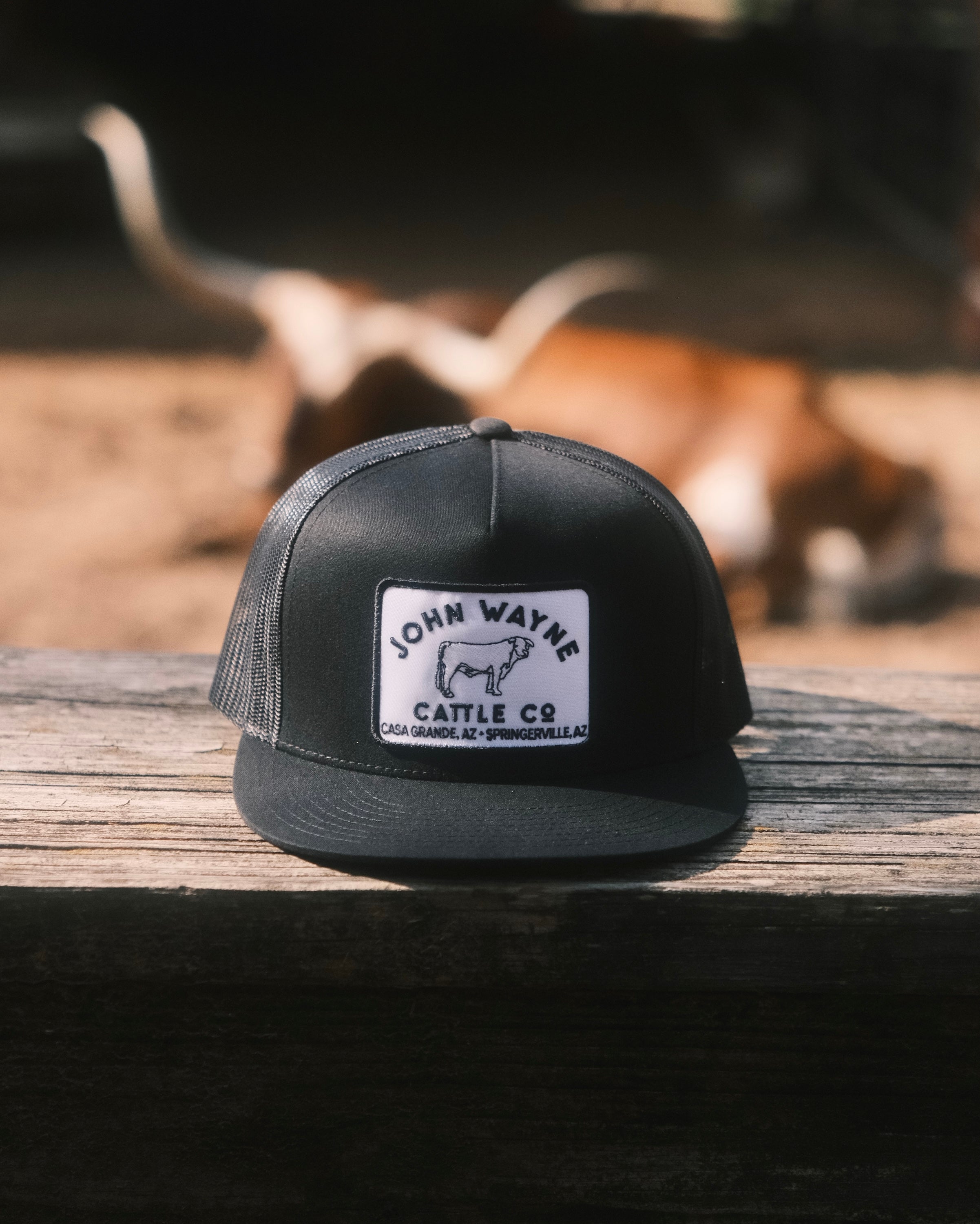 Cattle Co. Trucker Hat - Black