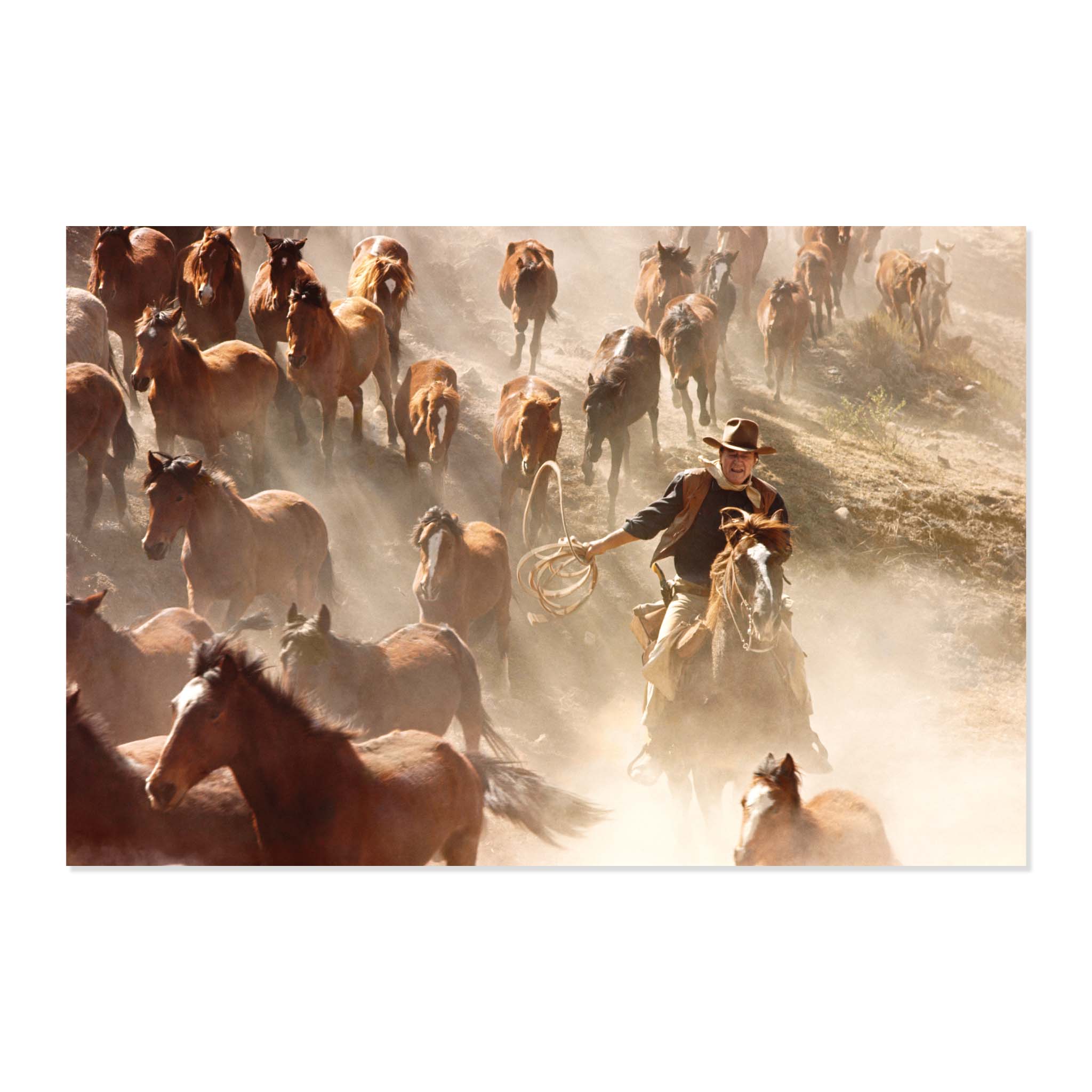 JW x John R. Hamilton Postcard Boxed Set