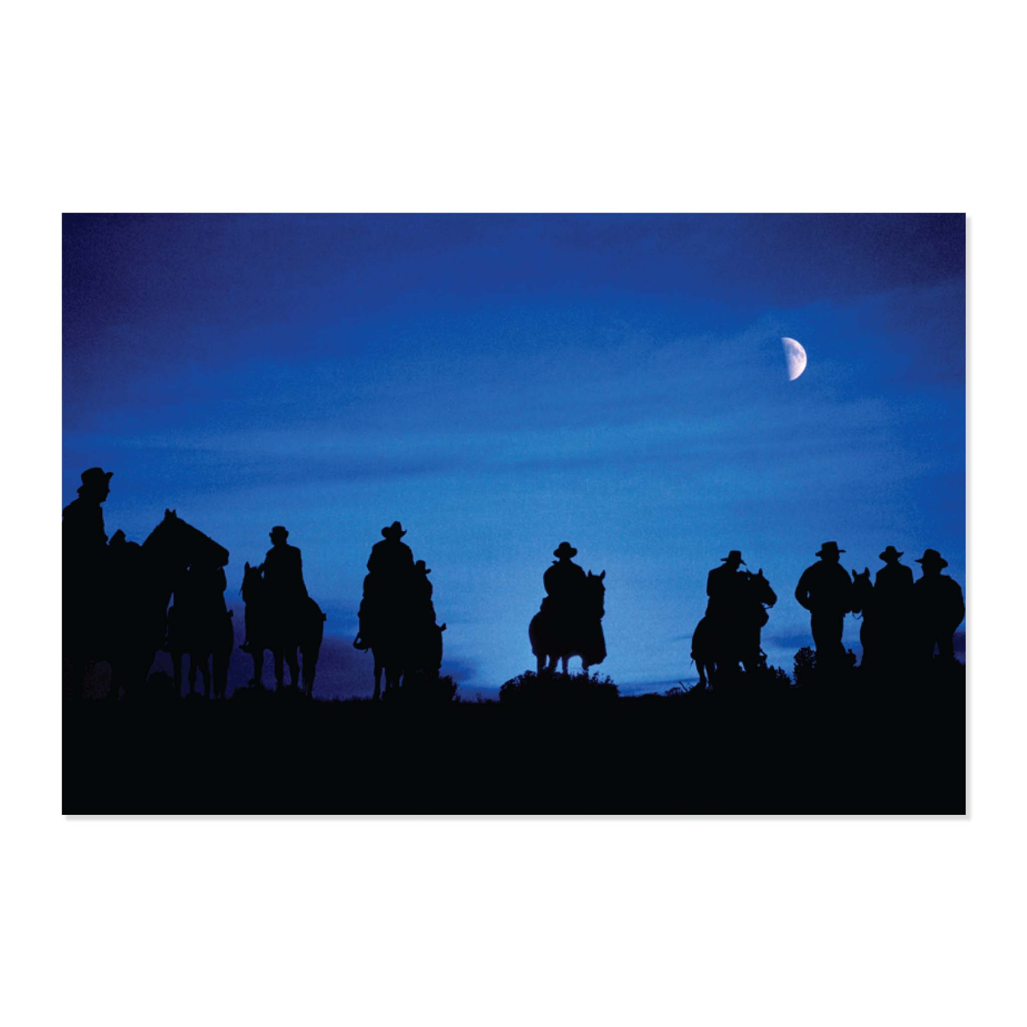 JW x John R. Hamilton Postcard Boxed Set